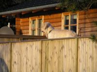 P1150132.JPG - 2005:01:15 14:59:17