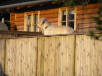 P1150133.JPG - 2005:01:15 14:59:18