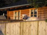 P1150134.JPG - 2005:01:15 14:59:22