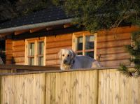 P1150135.JPG - 2005:01:15 14:59:23