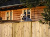 P1150136.JPG - 2005:01:15 14:59:23