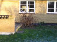 P1150148.JPG - 2005:01:15 15:19:40