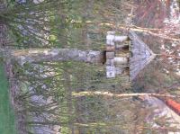 P1150153.JPG - 2005:01:15 15:22:06