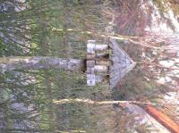 P1150154.JPG - 2005:01:15 15:22:06