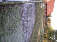 P1150160.JPG - 2005:01:15 15:25:21