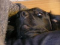 P1150168.JPG - 2005:01:15 15:53:03