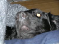 P1150169.JPG - 2005:01:15 15:53:15