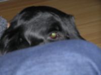 P1150170.JPG - 2005:01:15 15:53:38