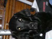 P1150175.JPG - 2005:01:15 16:23:14