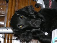 P1150176.JPG - 2005:01:15 16:23:22