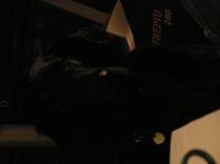 P1150178.JPG - 2005:01:15 16:23:33