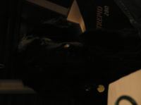 P1150179.JPG - 2005:01:15 16:23:33