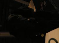 P1150180.JPG - 2005:01:15 16:23:34