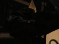 P1150181.JPG - 2005:01:15 16:23:35