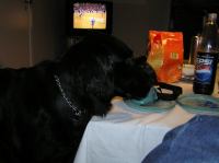 P1150183.JPG - 2005:01:15 16:24:41