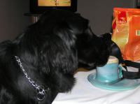 P1150184.JPG - 2005:01:15 16:24:47