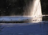 p1220238.jpg - 2005:01:22 14:30:19