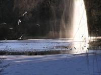 p1220239.jpg - 2005:01:22 14:30:28