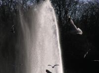 p1220244.jpg - 2005:01:22 14:31:40