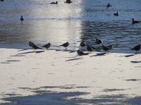 p1220245.jpg - 2005:01:22 14:31:50