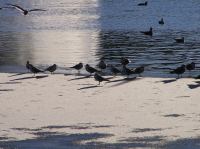 p1220246.jpg - 2005:01:22 14:31:55