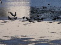 p1220247.jpg - 2005:01:22 14:31:57