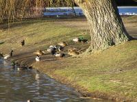 p1220253.jpg - 2005:01:22 14:35:03