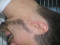 p1220258.jpg - 2005:01:22 18:44:08