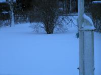 P1250814.JPG - 2005:01:25 07:55:12