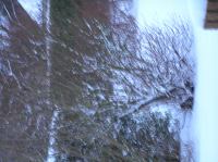 P1250817.JPG - 2005:01:25 07:55:32