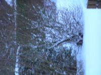 P1250818.JPG - 2005:01:25 07:55:37