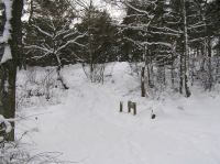 P1290002.JPG - 2005:01:29 12:06:12