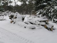 P1290005.JPG - 2005:01:29 12:07:20