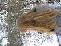 P1290007.JPG - 2005:01:29 12:07:58