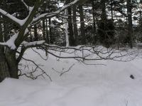 P1290008.JPG - 2005:01:29 12:08:52