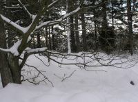 P1290009.JPG - 2005:01:29 12:08:55