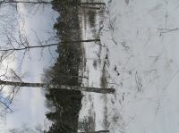 P1290010.JPG - 2005:01:29 12:09:25