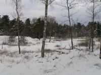 P1290011.JPG - 2005:01:29 12:09:29