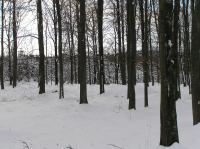 P1290012.JPG - 2005:01:29 12:09:52