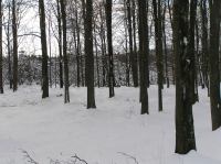 P1290013.JPG - 2005:01:29 12:09:53