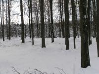 P1290014.JPG - 2005:01:29 12:09:53