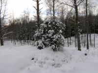 P1290015.JPG - 2005:01:29 12:11:14