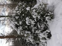 P1290018.JPG - 2005:01:29 12:11:28