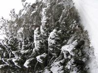 P1290020.JPG - 2005:01:29 12:29:08