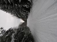 P1290021.JPG - 2005:01:29 12:29:11