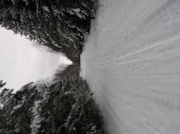 P1290022.JPG - 2005:01:29 12:29:13