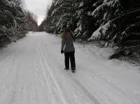 P1290023.JPG - 2005:01:29 12:29:28