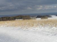 P1290027.JPG - 2005:01:29 12:48:38