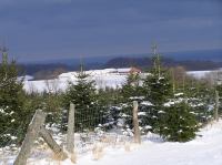 P1290028.JPG - 2005:01:29 12:48:45