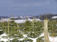 P1290029.JPG - 2005:01:29 12:49:03